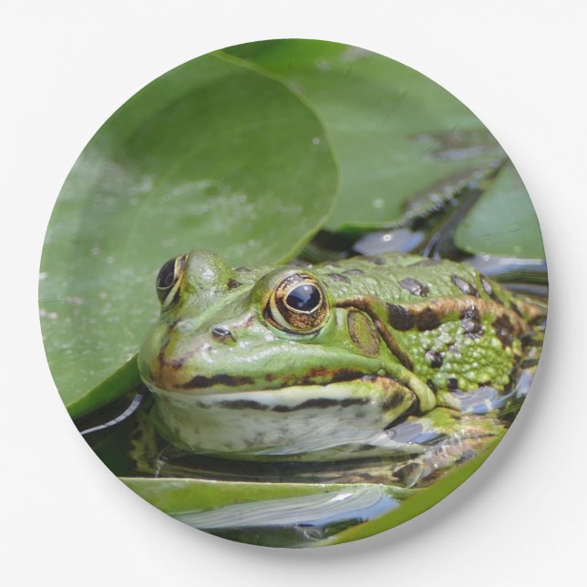 Frog Green Lily Pad Photo Paper Plate (Front)