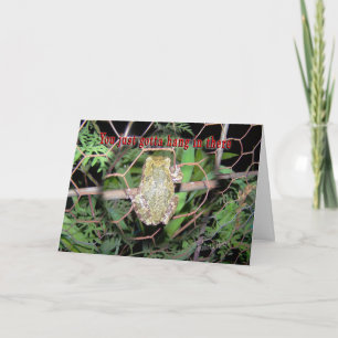 Frog-hang in there card