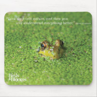 Frog in Green Algae
