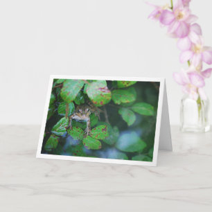 Frog in Leafy Pond Portrait Card