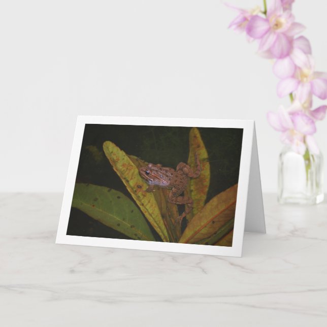 Frog in Pond Portrait Card (Orchid)