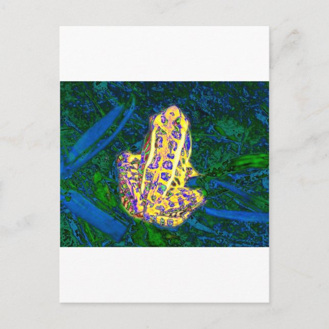 Frog in the Grass Postcard (Front)