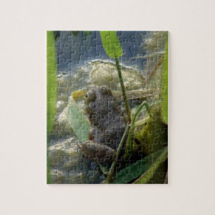 Frog Jigsaw Puzzle