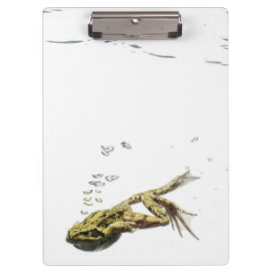 frog jumping and diving into the water clipboard