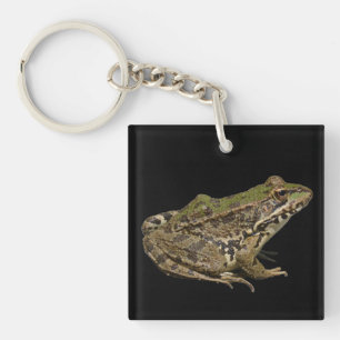 Frog Key Ring