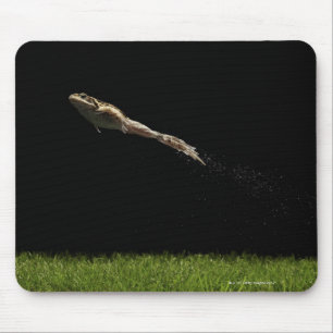 frog leaping off fresh green grass mouse pad
