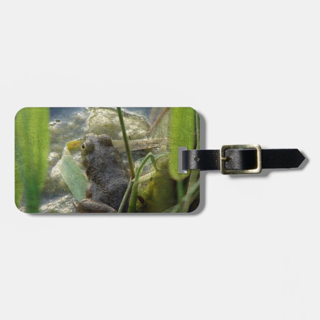 Frog Luggage Tag (Front Horizontal)