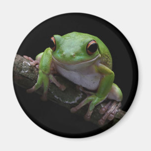 Frog Magnet