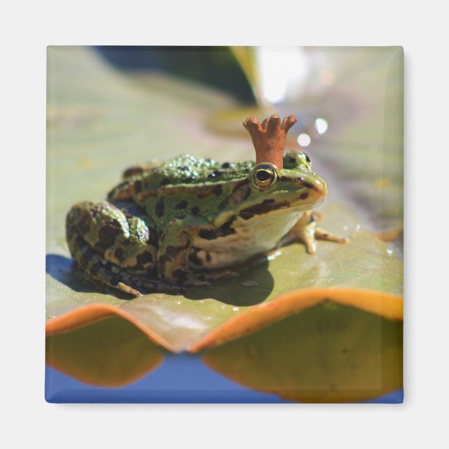 frog magnet (Front)