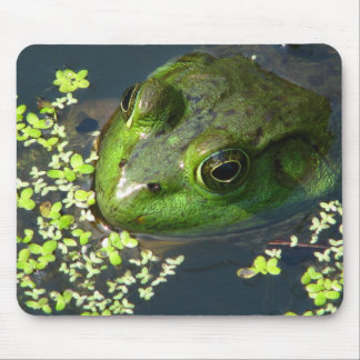 Frog Mousepad