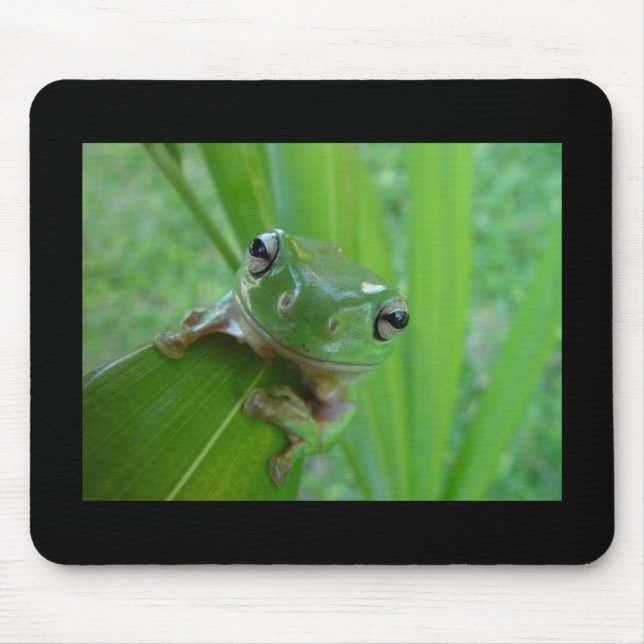Frog! Mousepad (Front)
