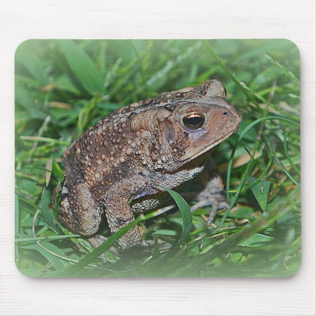 Frog Mousepad (Front)