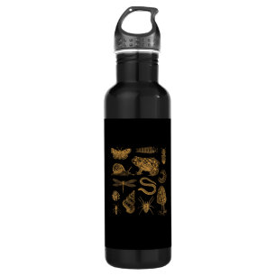 Frog Mushroom Moth Vintage Lover Goblincore Aesthe 710 Ml Water Bottle