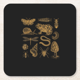 Frog Mushroom Moth Vintage Lover Goblincore Aesthe Square Paper Coaster