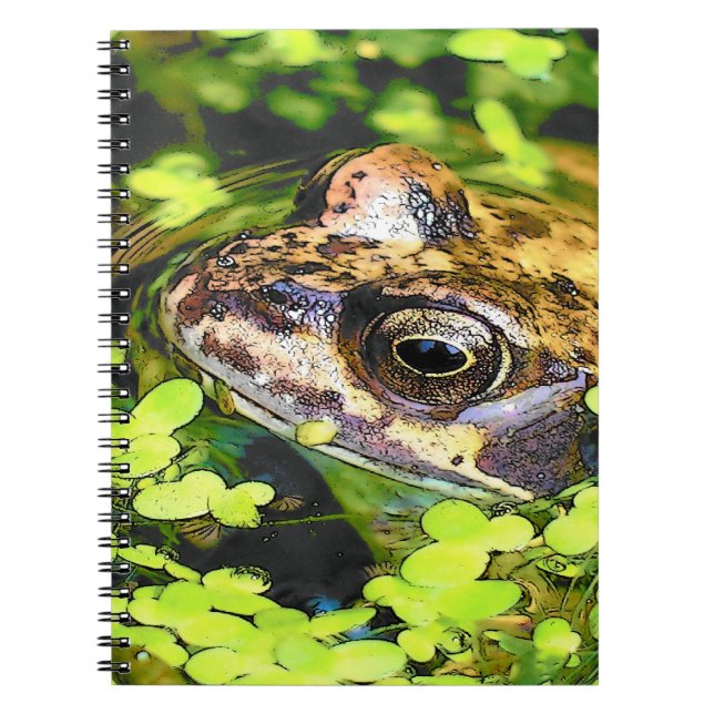 FROG NOTEBOOK (Front)