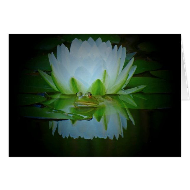 Frog of the Lily (Front Horizontal)