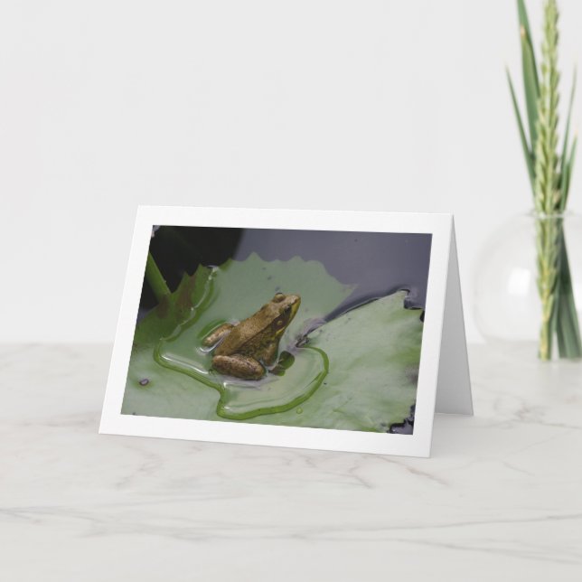 Frog on Lily Pad Card (Front)