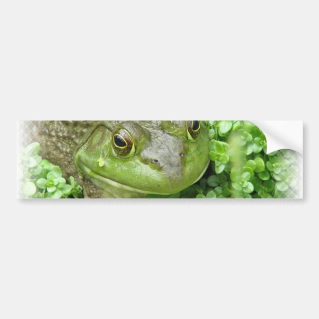 Frog on Marsh Sticker (Front)