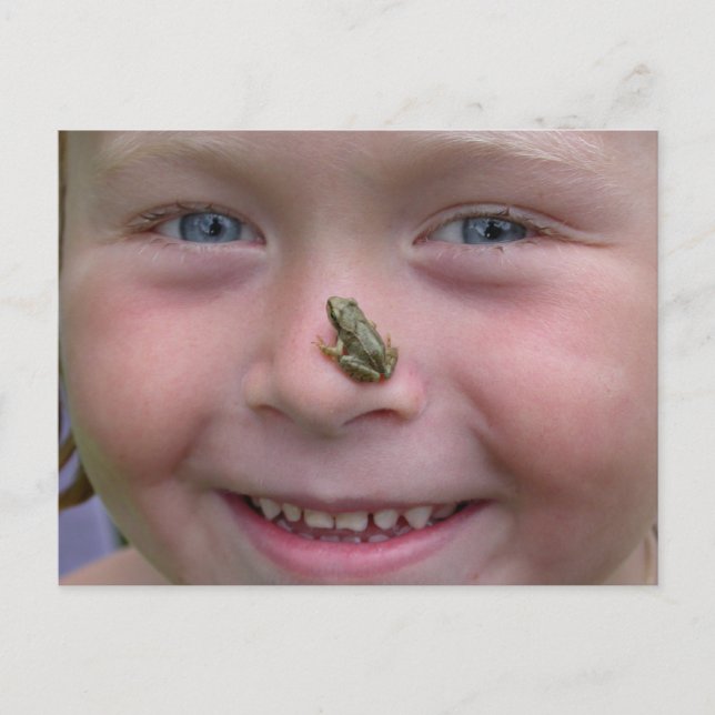 Frog On Nose Postcard (Front)