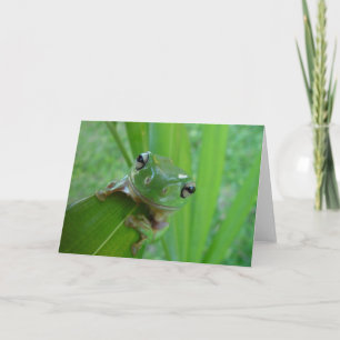 Frog Photo Greeting Card