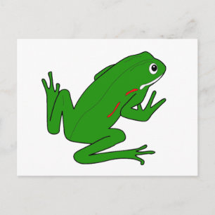 FROG POSTCARD