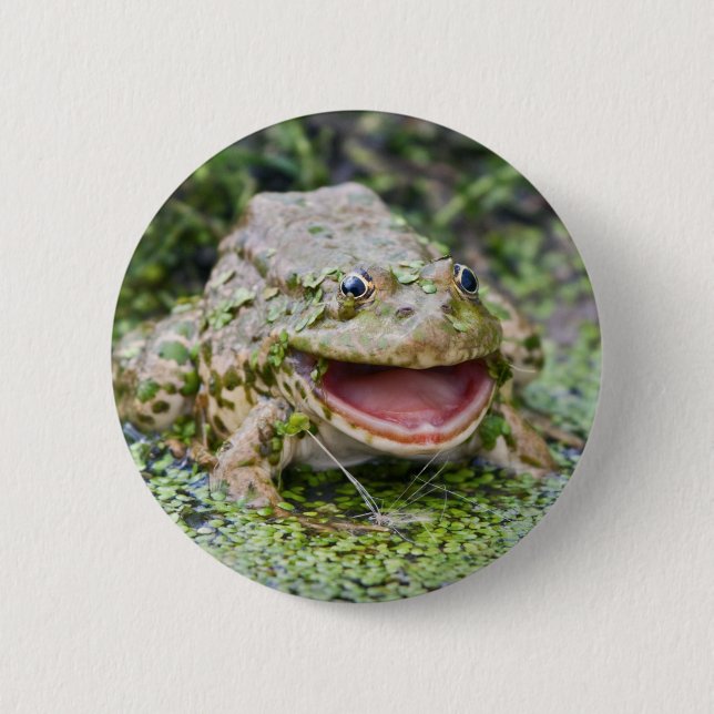 Frog Prince Badge (Front)