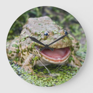 Frog Prince Clock