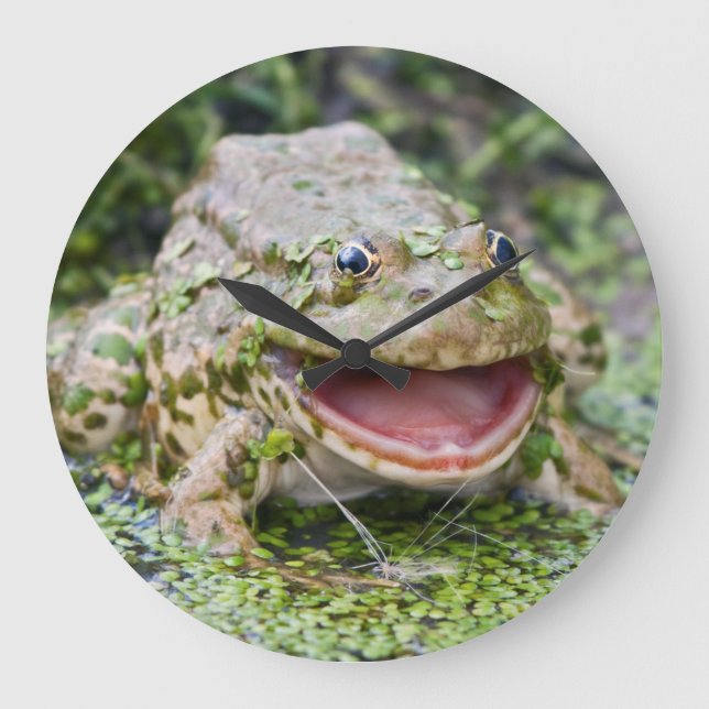 Frog Prince Clock (Front)