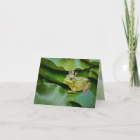 Frog Prince on Lily Pad