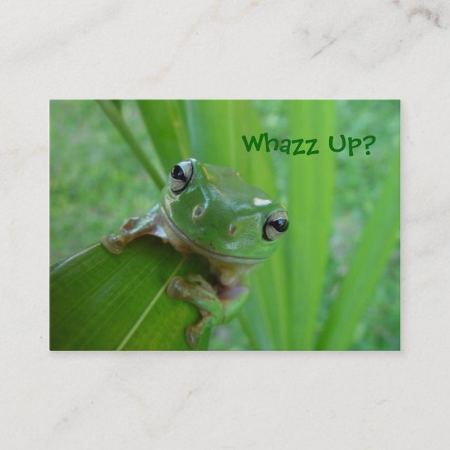 Frog Profile or Business Cards (Front)