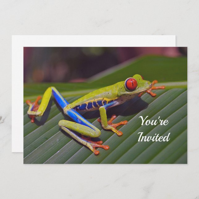 Frog Red Eye Photo Birthday Invitation (Front/Back)
