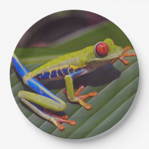 Frog Red Eye Photo Paper Plate