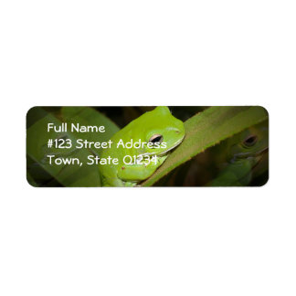 Frog Reflections Return Address Label