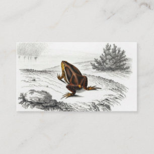 Frog Reptile Vintage Art Business Card