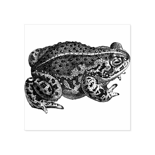 Frog  Rubber stamp (Imprint)