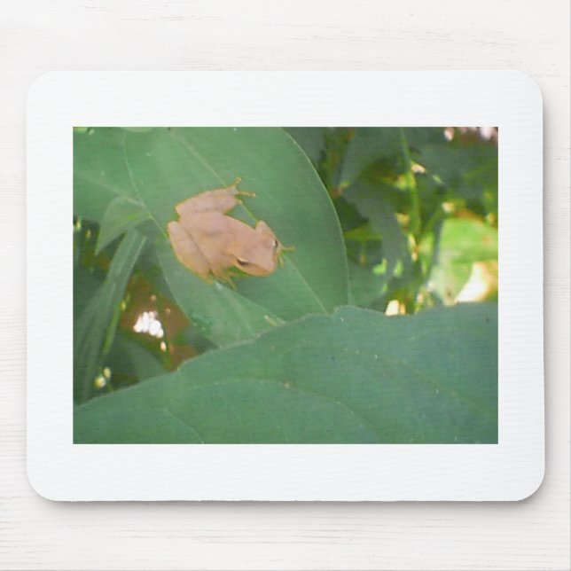 Frog Sitting on Green Leaf Mouse Pad (Front)
