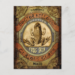 Frog Skin Postcard