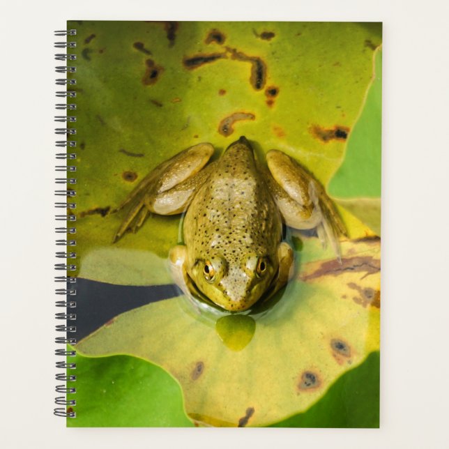 Frog Spiral Weekly/Monthly Planner (Front)