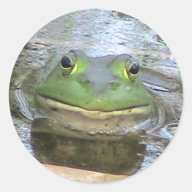 Frog Sticker (Front)