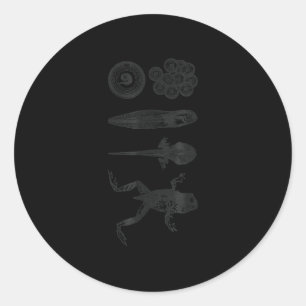 Frog Tadpole Metamorphosis Life Cycle Biology Classic Round Sticker
