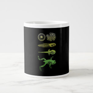 Frog Tadpole Metamorphosis Life Cycle Biology Large Coffee Mug