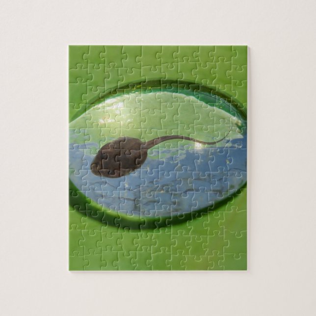 Frog Tadpole Swimming in Water Drop Jigsaw Puzzle (Vertical)