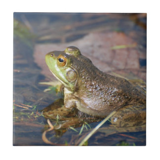 Frog Tile