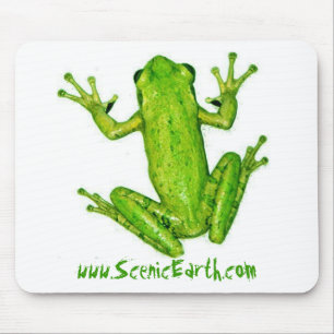 Frog Tropical Rain Forest Tree Frog MousePad Art