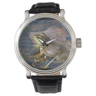 Frog Watch