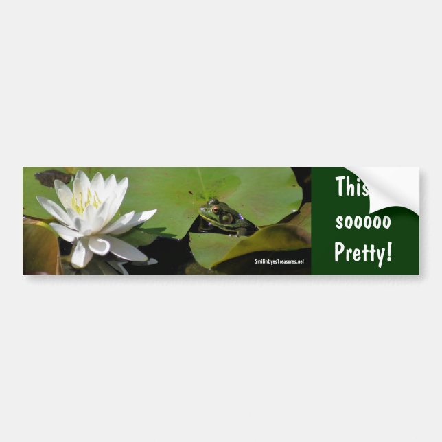 Frog Water Lily Inspirational Bumper Sticker (Front)