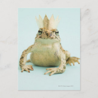 Frog wearing crown postcard