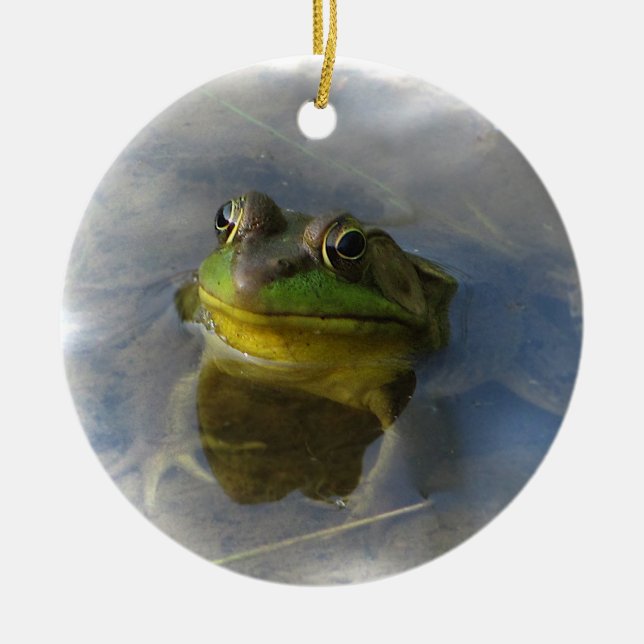 Frog with Attitude Ceramic Tree Decoration (Front)