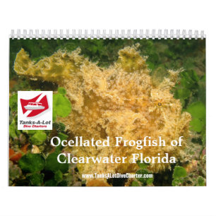 Frogfish 2012 Calendar