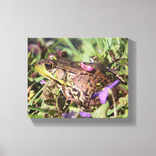 Froggy canvas print